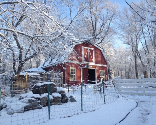 barn in snow
